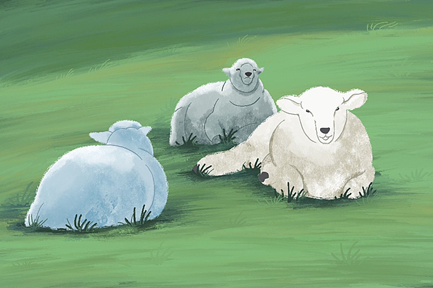 羊咩咩｜练习作（图ZMzE3ODc5NjE2） - 创作习作 - 站酷设计师艮音原创素材 - 站酷ZCOOL