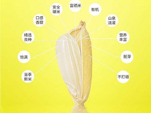 个人日常（个人主页-ZMzQ2NDEyNjg=） - 电商 - 站酷设计师晋阳尘原创素材 - 站酷ZCOOL