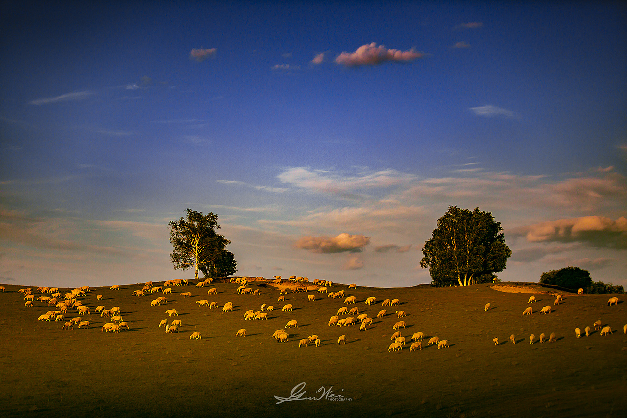 草原旅拍之随手拍风景
