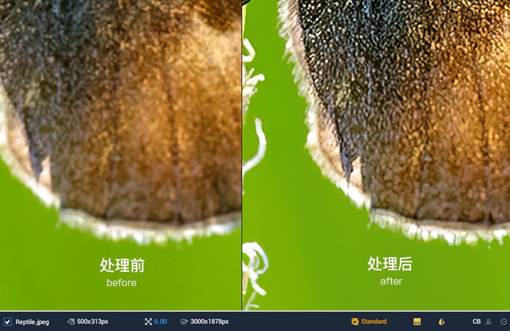 ai智能无损放大软件图片模糊变清晰真的实现了005期