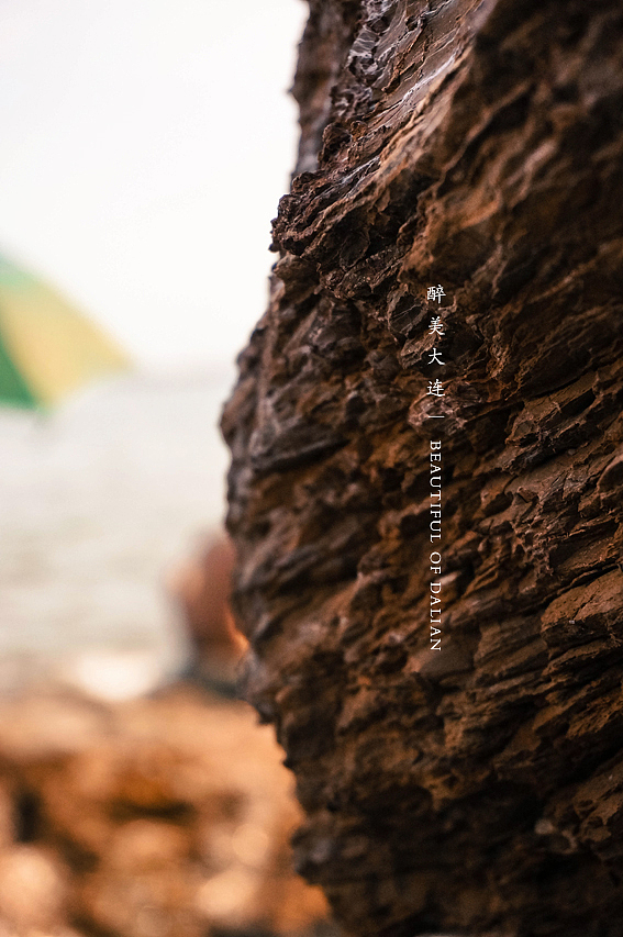 大连之旅 清凉一夏（图ZMTA3NjEzMjA=） - 风光摄影 - 站酷设计师coupon原创素材 - 站酷ZCOOL