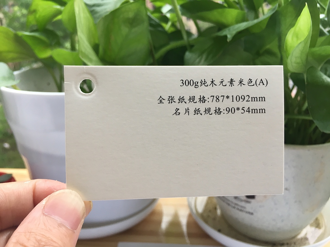 2019款特种纸艺术纸实物展示样册