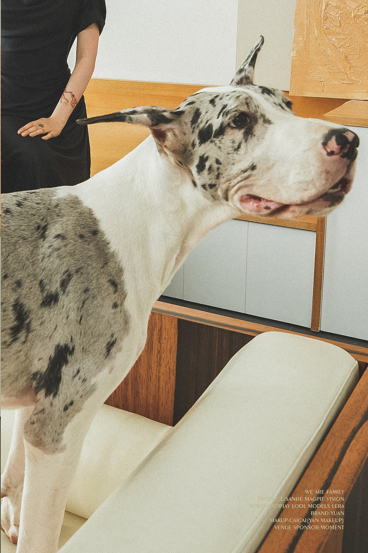 商业摄影/设计师品牌KV拍摄（图ZMjUwNDE2ODY4） - 时尚/艺术摄影 - 站酷设计师三合鹊Sanheimage原创素材 - 站酷ZCOOL