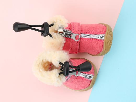 宠物鞋子