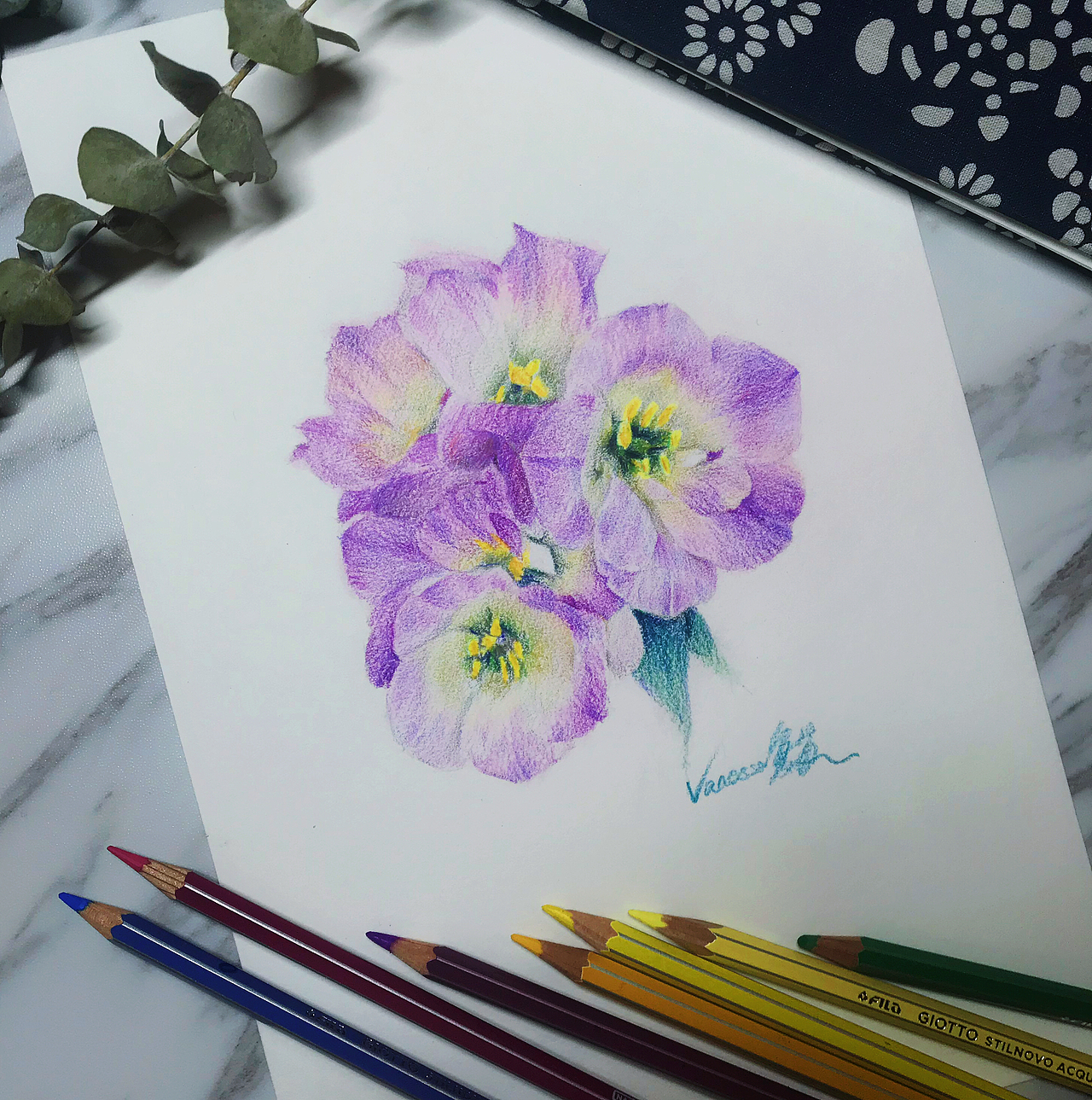 一些彩铅练习稿