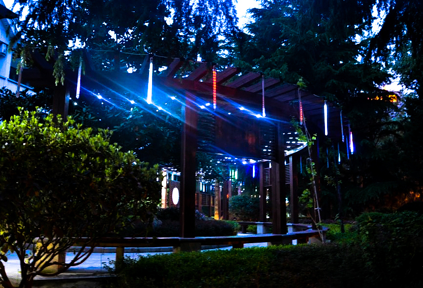 青岛海边随心拍