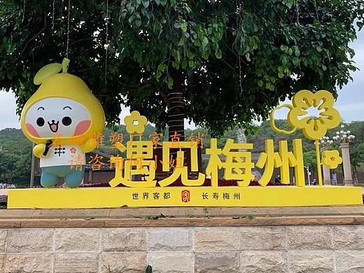梅县建设商旅之乡玻璃钢柚子公仔雕塑蜜柚娃娃红心柚