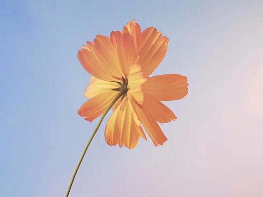 故事的小黄花（个人主页-ZNDA0NDQwODg=） - 风光摄影 - 站酷设计师TYX萱儿原创素材 - 站酷ZCOOL