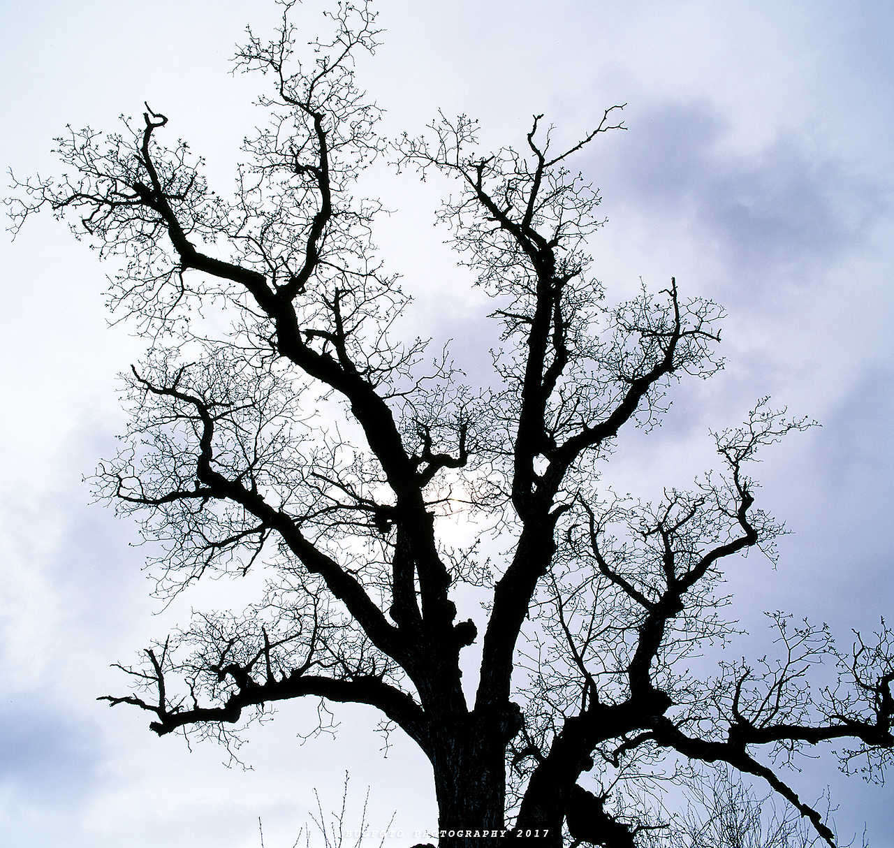 一路向西.纪录318（图ZNzg1ODAwMDA=） - 风光摄影 - 站酷设计师supersims原创素材 - 站酷ZCOOL