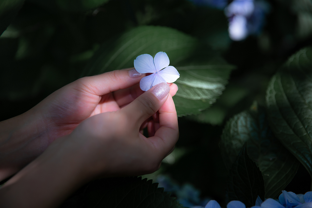 情绪写真 |无尽夏日的一封情书