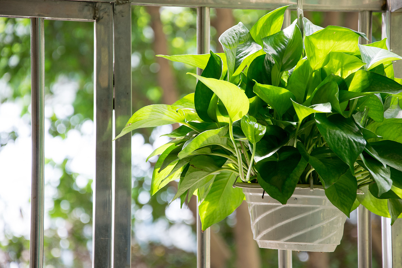 生活杂图（图ZMTQwOTMxNTg4） - 其他摄影 - 站酷设计师DuckL原创素材 - 站酷ZCOOL