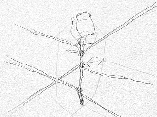 束縛（個(gè)人主頁-ZMzU2NjE0ODg=） - 藝術(shù)插畫 - 站酷設(shè)計(jì)師TraxexFEI原創(chuàng)素材 - 站酷ZCOOL