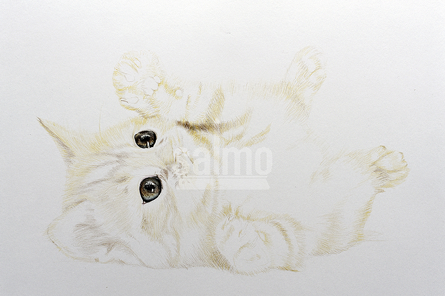 喵~（图ZNjMyNjU4NzY=） - 绘画 - 站酷设计师xuanye1836原创素材 - 站酷ZCOOL