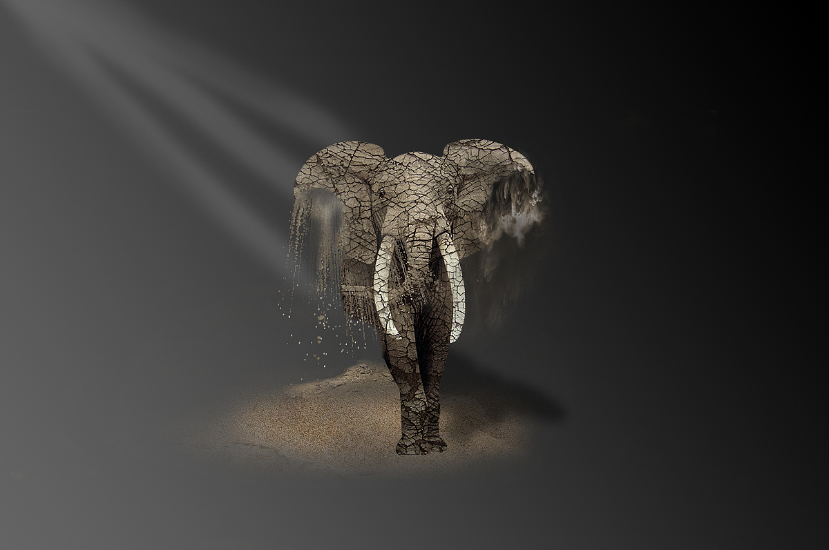 自己练习的合成（图ZMTUwMTUyOTY4） - 其他平面 - 站酷设计师木木木森森森原创素材 - 站酷ZCOOL