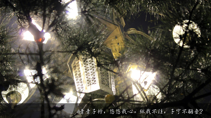 青青子衿,悠悠我心。纵我不往,子宁不嗣音?