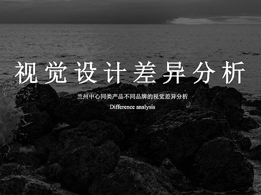 同类产品不同品牌的视觉差异分析