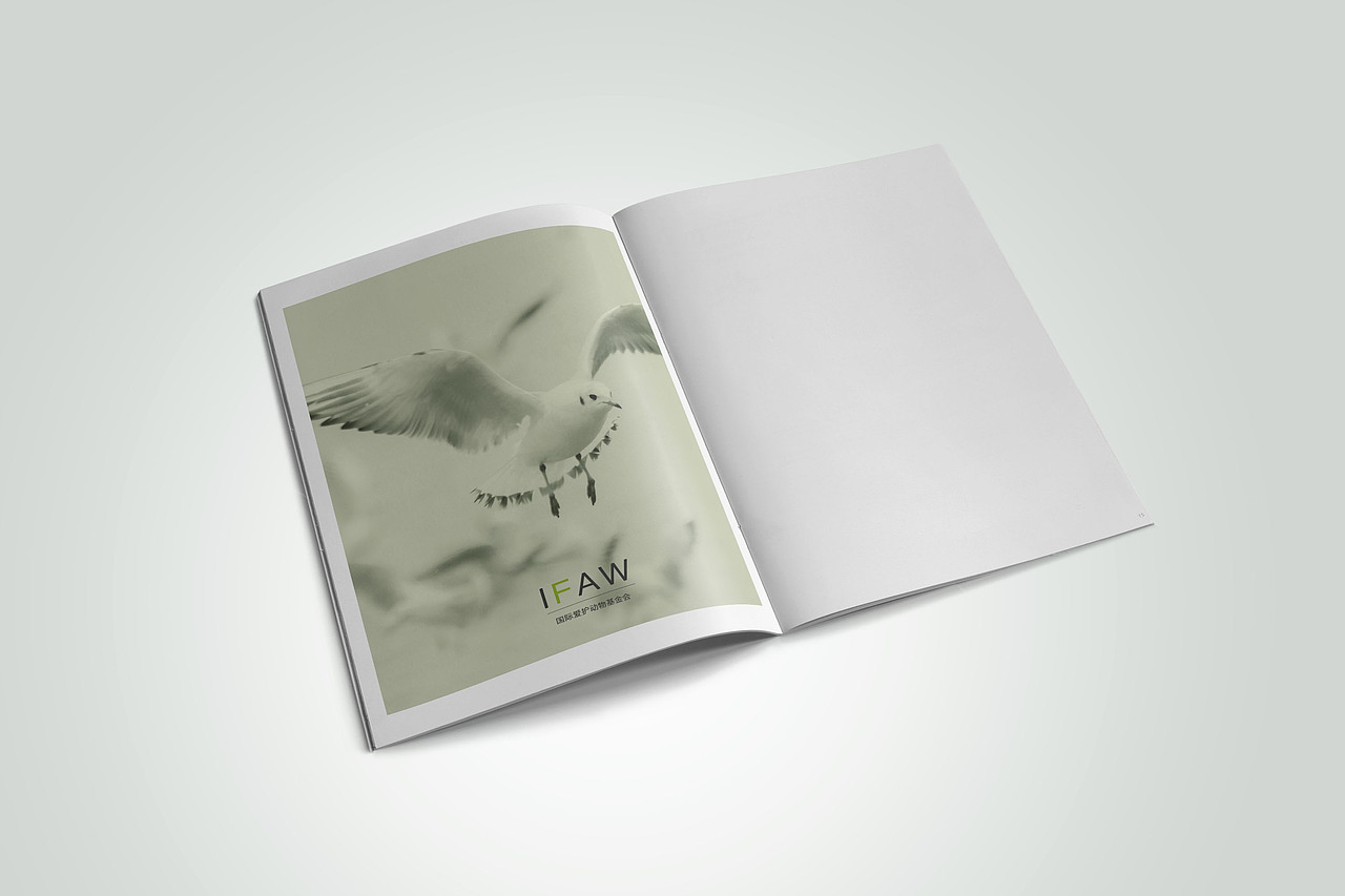 画册-保护动物（图ZOTU2MzM3MzY=） - 书籍/画册 - 站酷设计师草莓味的猫er原创素材 - 站酷ZCOOL