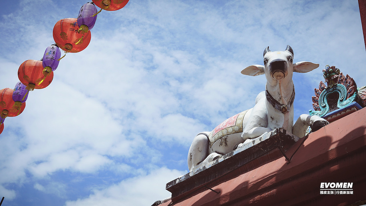 行摄 · 新加坡(三)