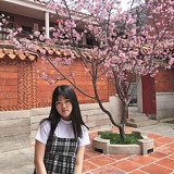 苏西詹的头像