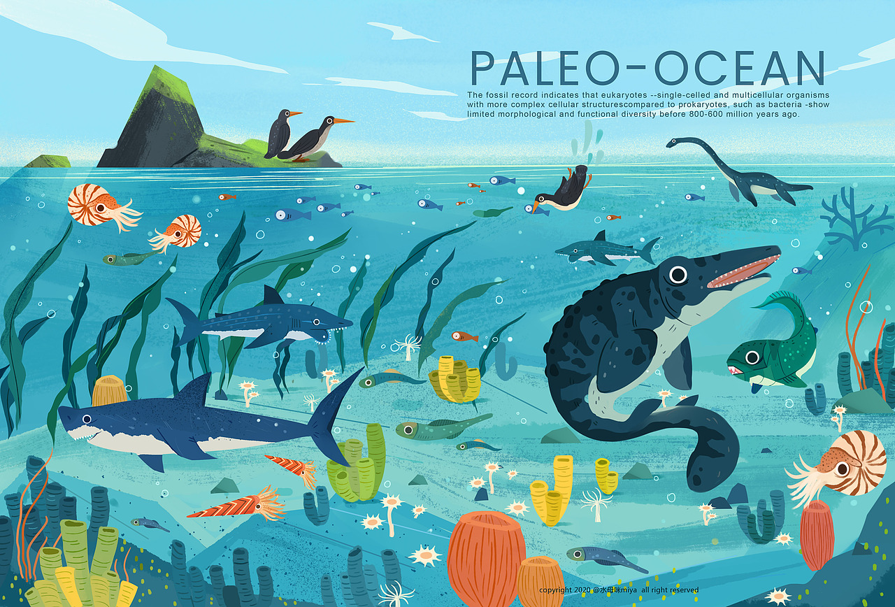 站酷十年,画出了21本书