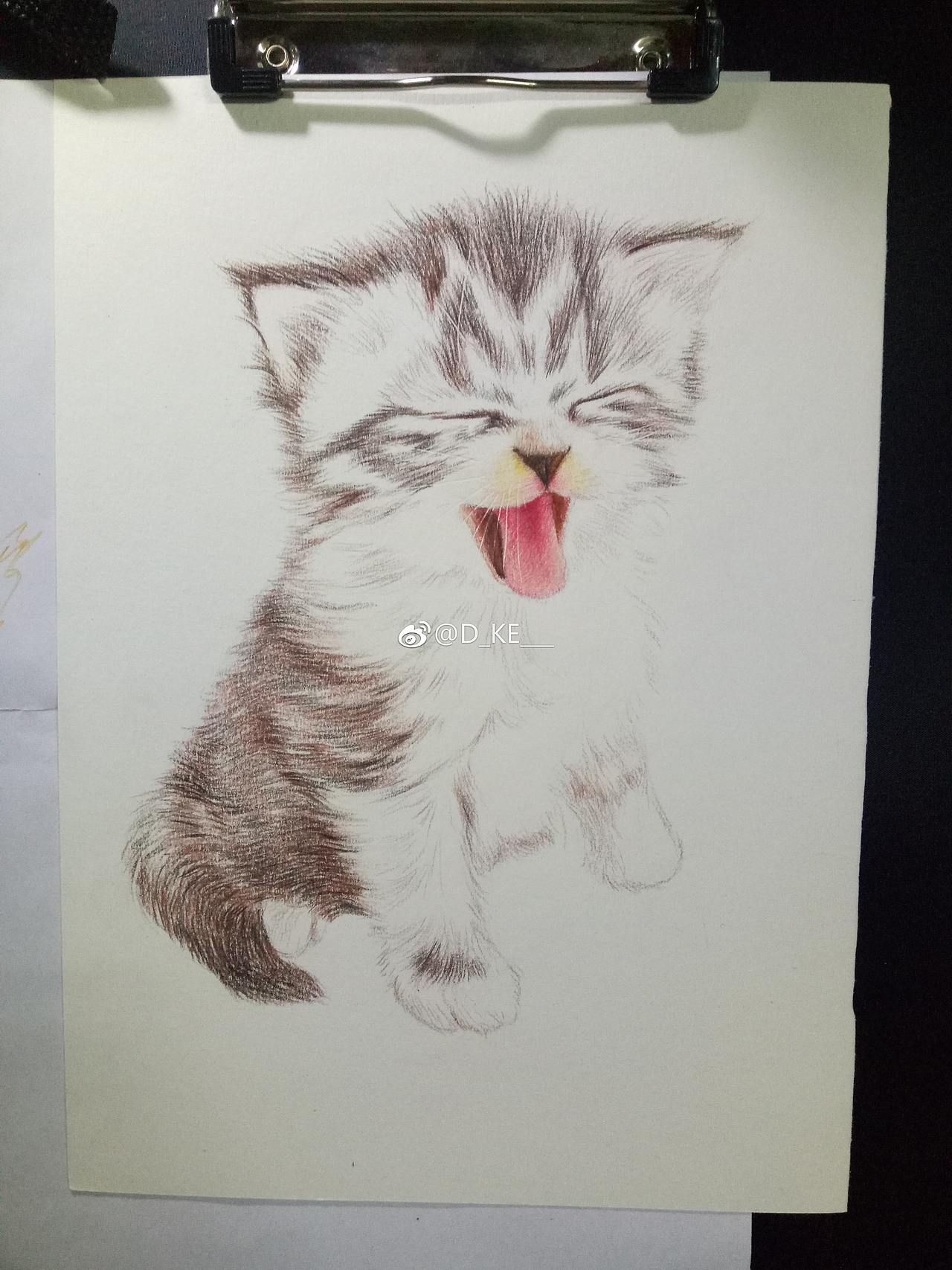 彩铅~奶猫（图ZMTI5Mzc1NTE2） - 绘画 - 站酷设计师Kaye_原创素材 - 站酷ZCOOL