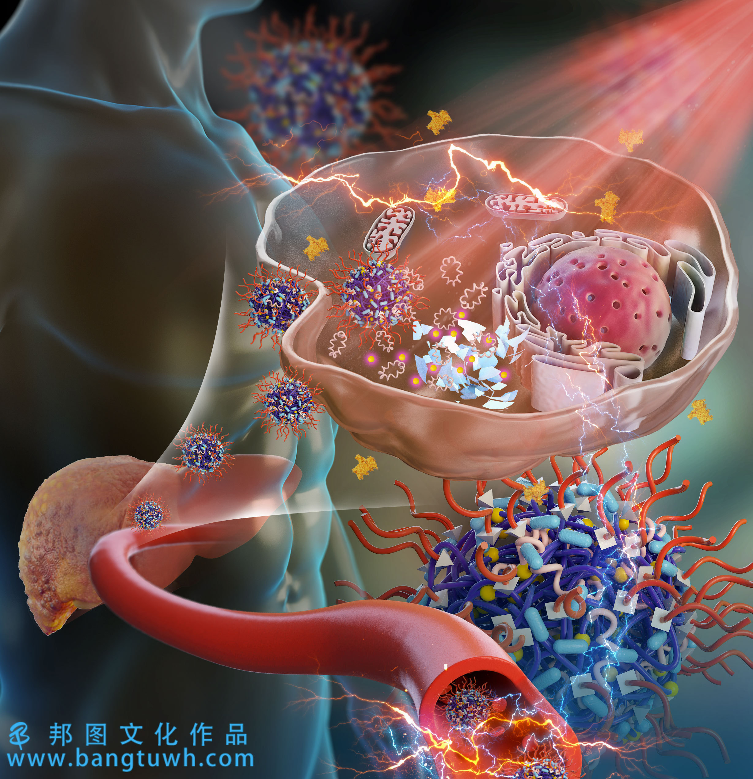 科研绘图sci画图学术杂志封面设计toc文章配图医学动画