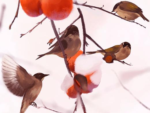 冬天的柿子（个人主页-ZMjQ3NTQ0ODQ=） - 创作习作 - 站酷设计师RR神龙大人原创素材 - 站酷ZCOOL