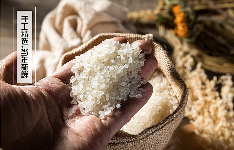 大米（图ZMTM1ODcxOTM2） - 电商 - 站酷设计师理想智造视觉设计原创素材 - 站酷ZCOOL