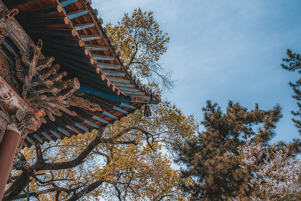 晋祠行（图ZMjUyNDQwOTc2） - 环境/建筑摄影 - 站酷设计师大卫009原创素材 - 站酷ZCOOL