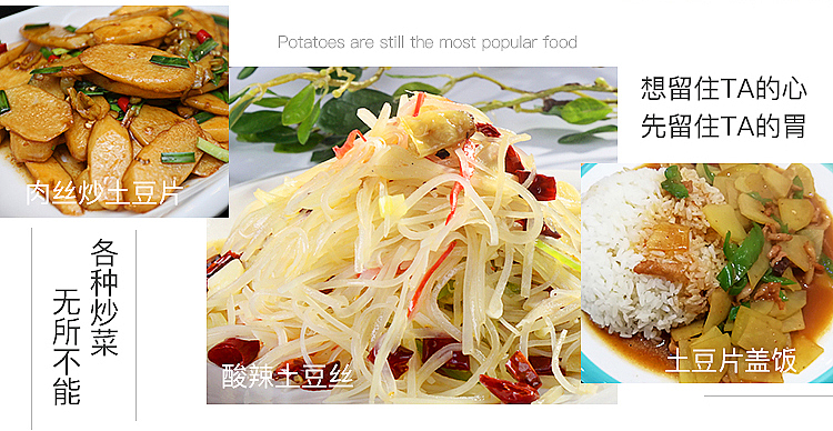 贵州土豆洋芋马铃薯农产品蔬菜（图ZMjYxMzEzODI0） - 电商 - 站酷设计师左手残原创素材 - 站酷ZCOOL