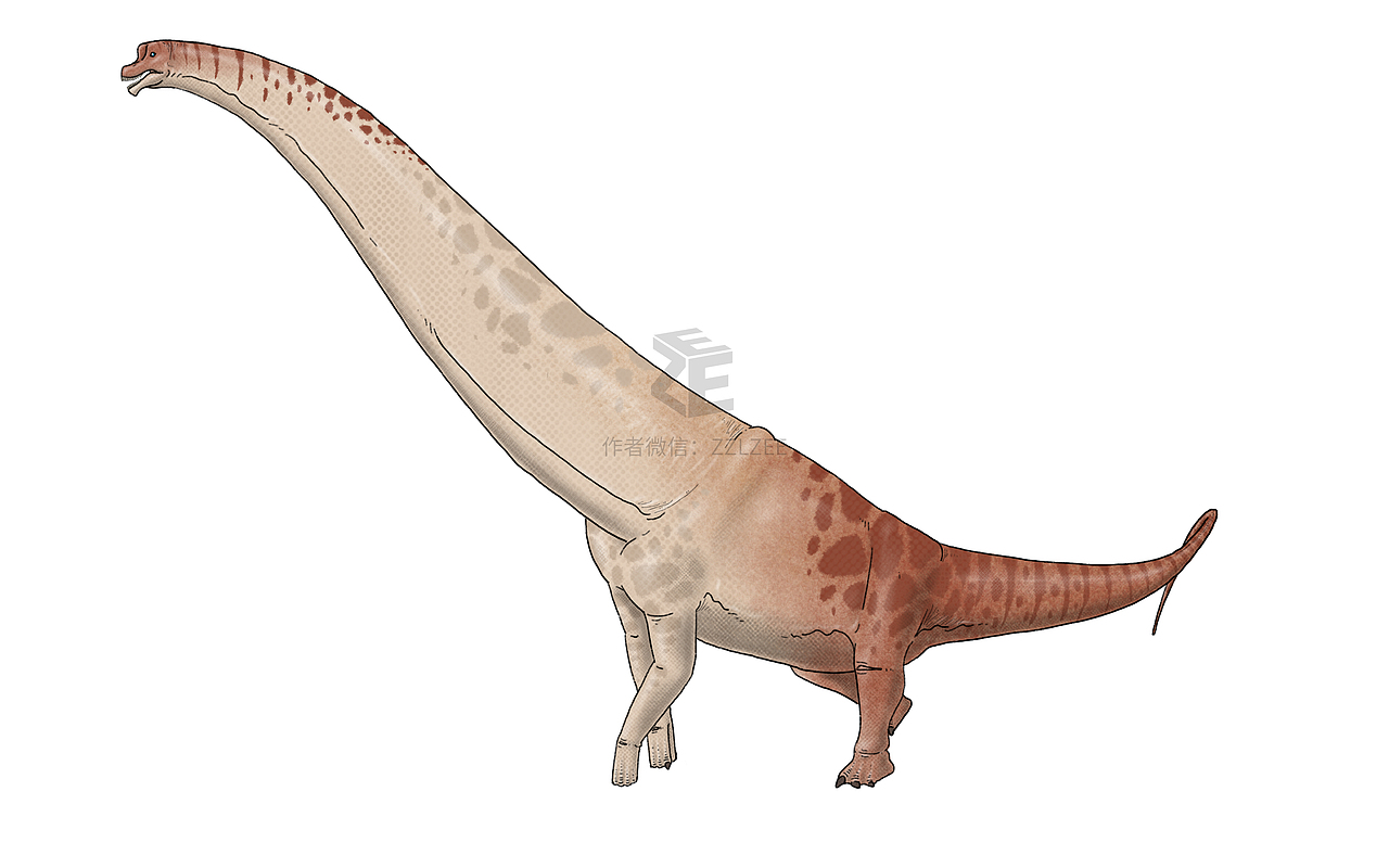 # DINOSAURS 2（图ZMTU5MDYyMjI4） - 商业插画 - 站酷设计师小士心原创素材 - 站酷ZCOOL