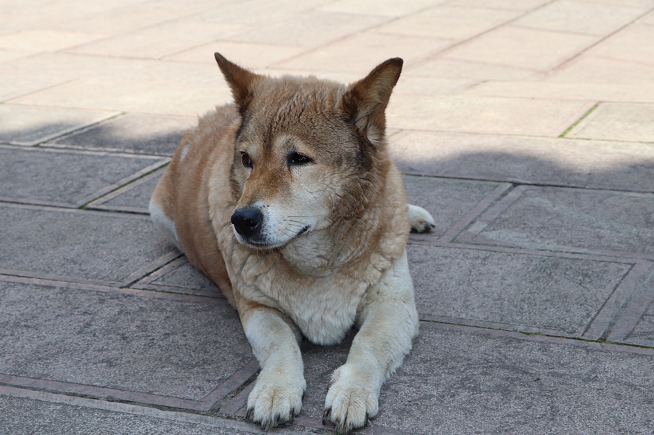 阳光明媚,出出门