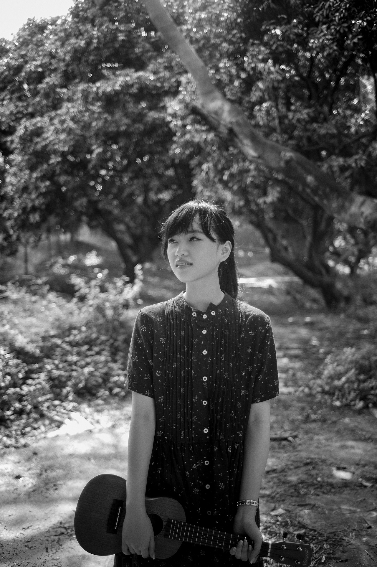 sunbeams-我的天空没有雨