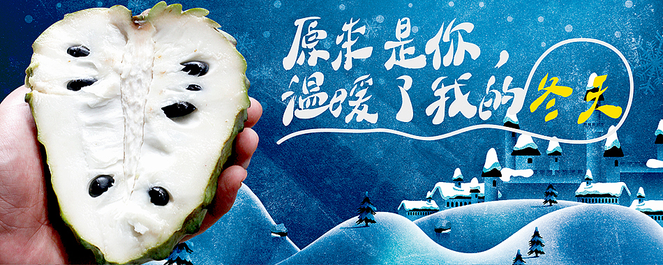 海南新鲜水果电商设计（图ZMTA3NTcxMzUy） - 运营设计 - 站酷设计师hbtwo原创素材 - 站酷ZCOOL