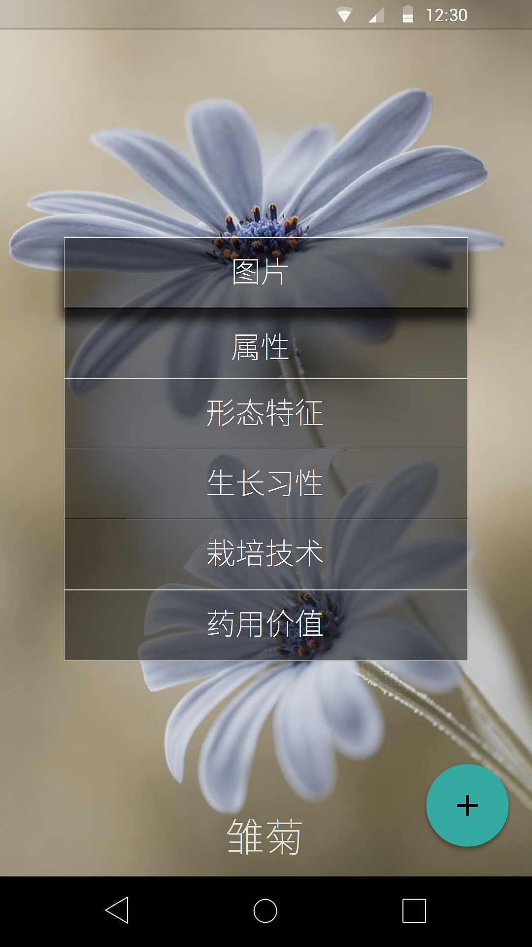 《拍叶》安卓版动效视频