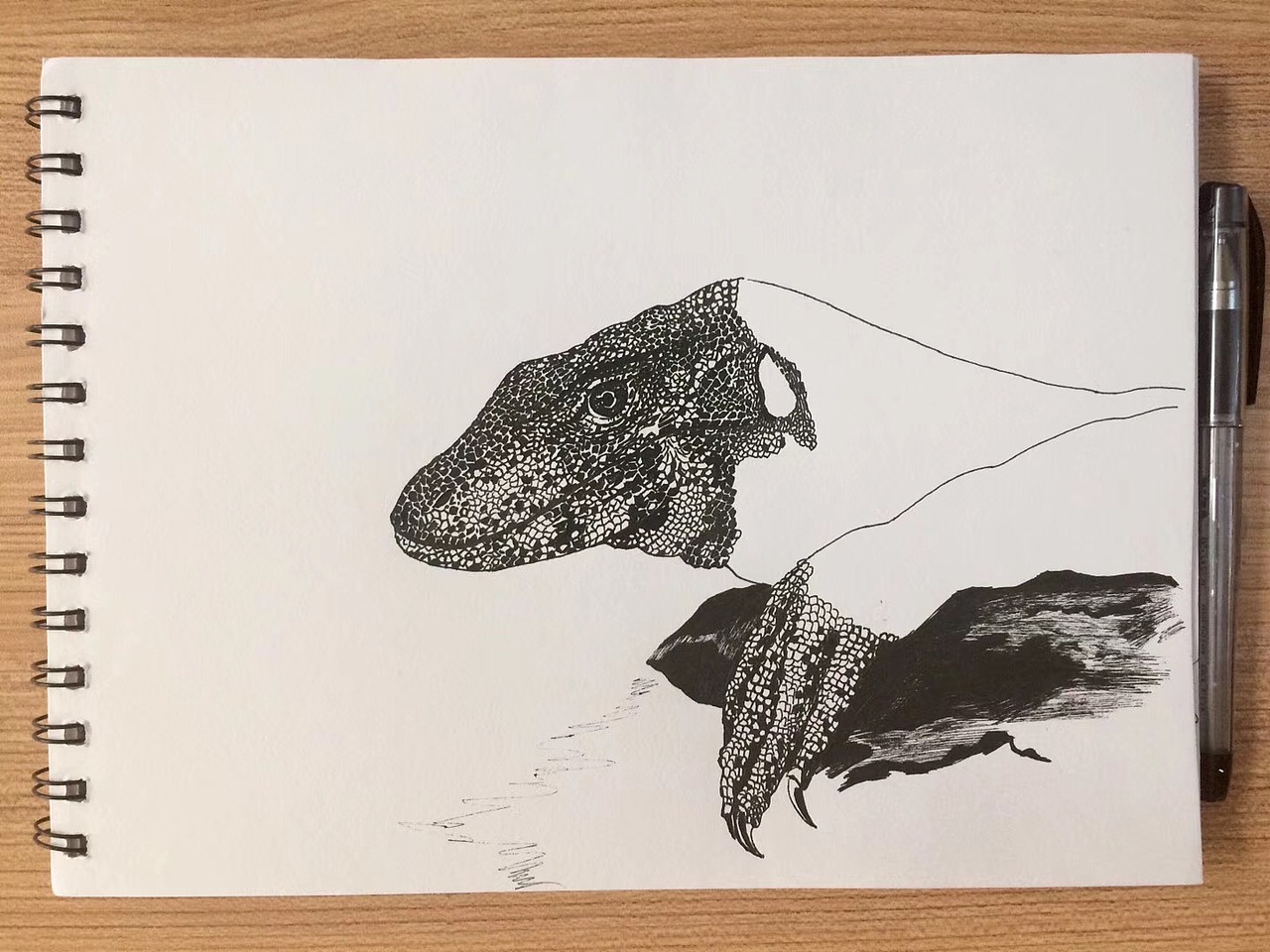 碳素笔巨蜥|纯艺术|绘画|马傻拉弟_原创作品-站酷zcool