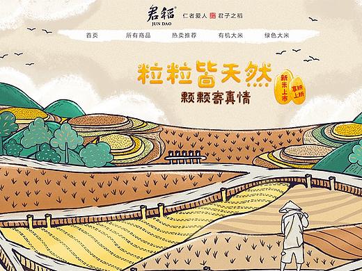 大米的页面与包装效果