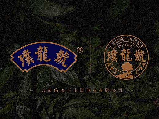 普龙号品牌页（个人主页-ZNDUwMDAwMjQ=） - 电商 - 站酷设计师布吉谷丶xx原创素材 - 站酷ZCOOL
