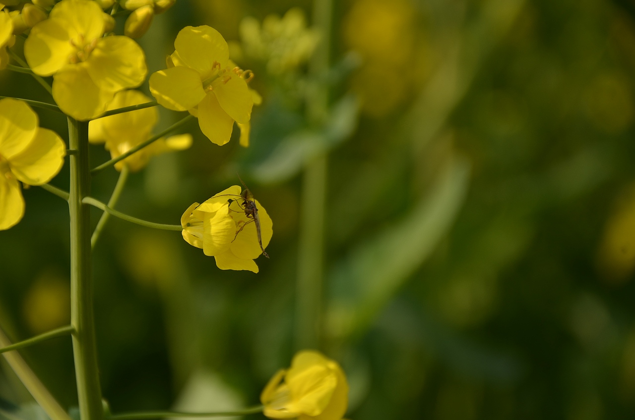 大学摄影随手拍拍（图ZMjUwOTI2MjA=） - 风光摄影 - 站酷设计师传媒摄影人原创素材 - 站酷ZCOOL