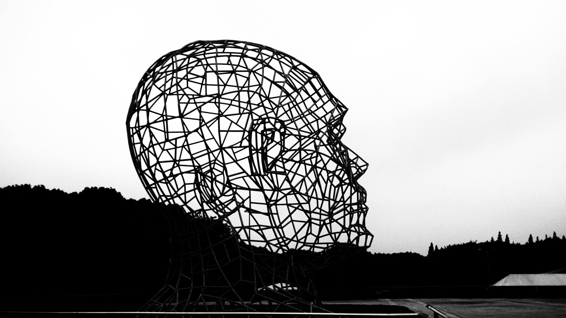 东方绿洲# 镂空雕塑黑白艺术 2018.7.