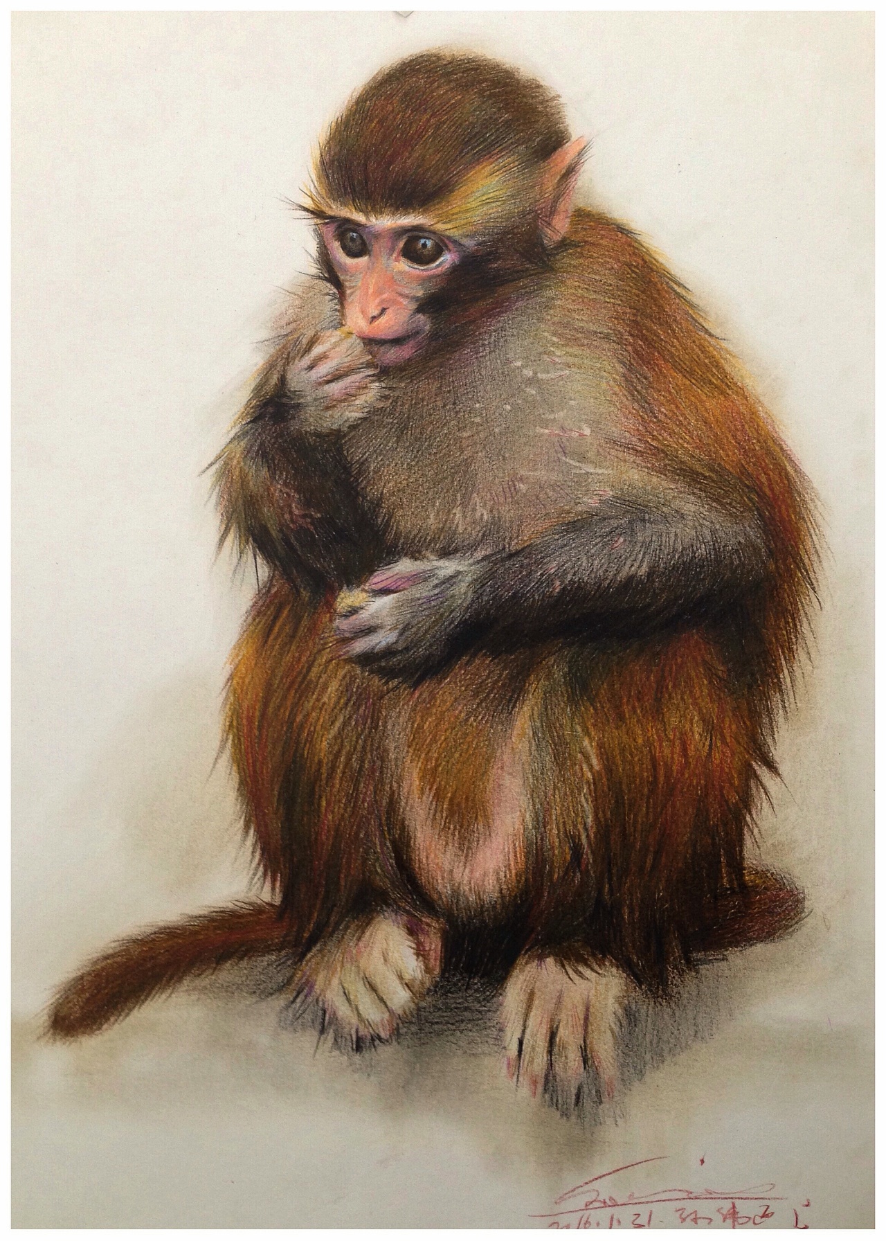 新年快乐,猴年大吉大利,财源滚滚,我的水粉画最后一张是彩铅小猴子