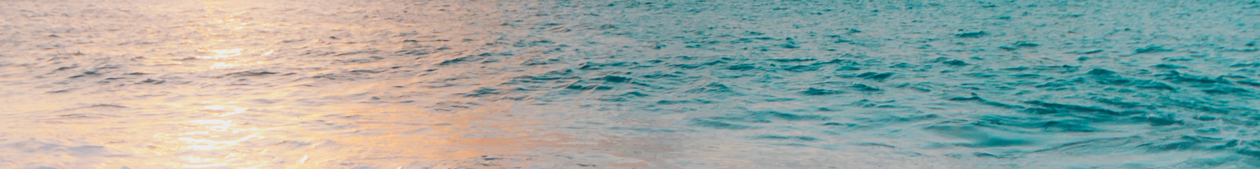 杨露ll的个人主页（封面预览） - 主页封面设置 - 站酷设计师杨露ll原创素材 - 站酷ZCOOL