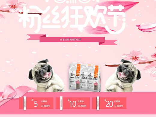 狗狗食物—专题页