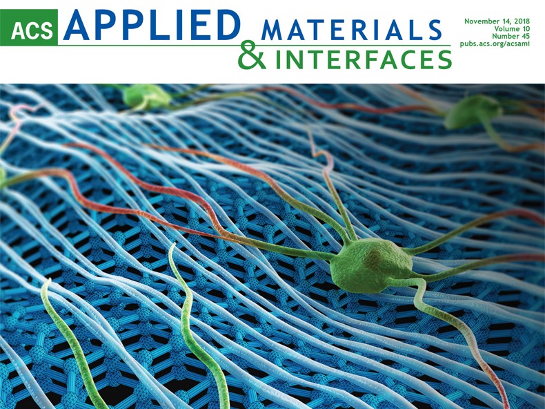 ACS AMI 西安交大 学术期刊封面制作 sci论文配图设计_邦图文化站酷ZCOOL