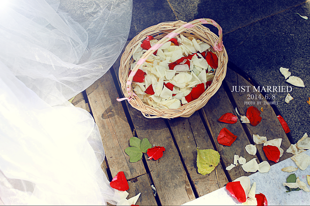 6月8号  一场温馨浪漫的室外撞色婚礼