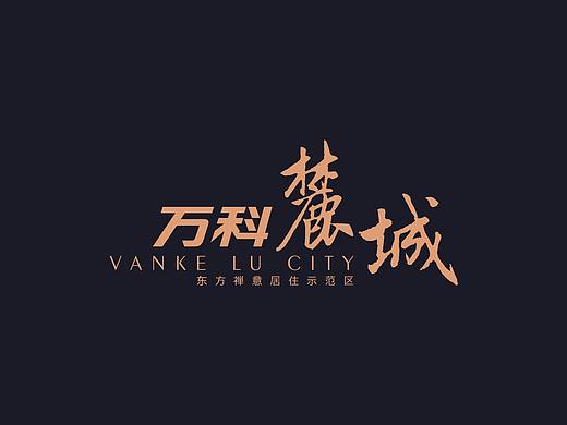 万科麓城视觉提案