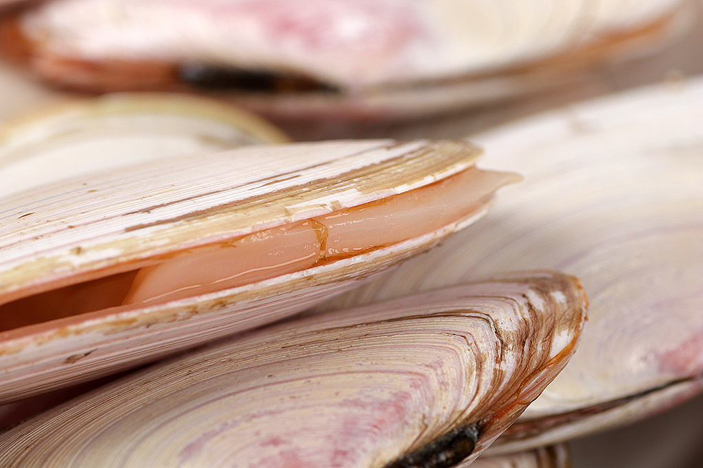 刀贝丨海鲜电商客户约拍丨飞鸟电商