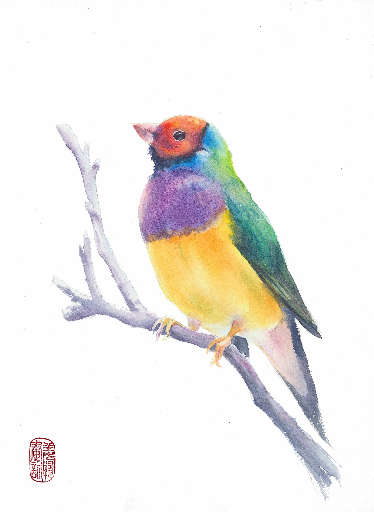 水彩七彩文鸟白底