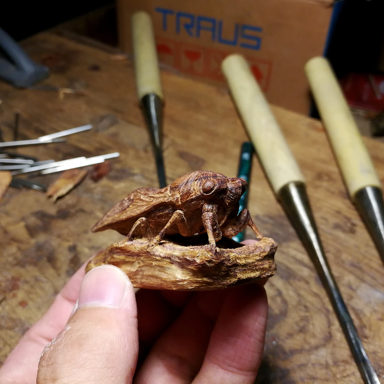 一只夏天--“知石”（圖ZODY5Mzc1ODg=） - 其他手工藝 - 站酷設計師LU_大俠原創(chuàng)素材 - 站酷ZCOOL