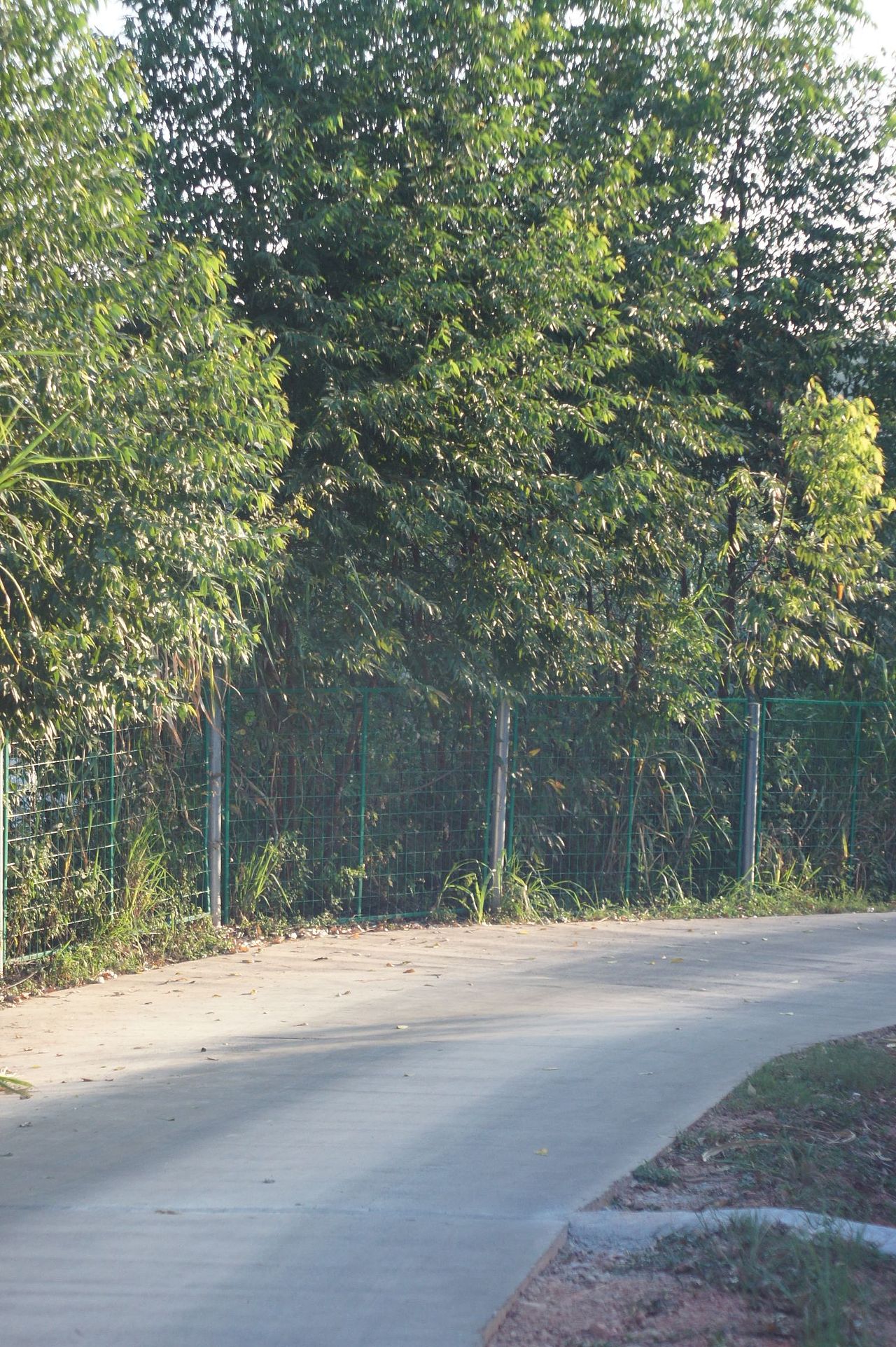 相院——光明顶之旅